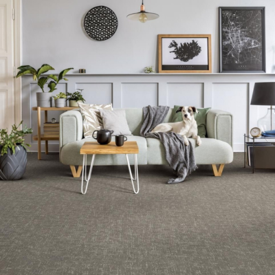 greige patterned carpet in pet friendly living room
